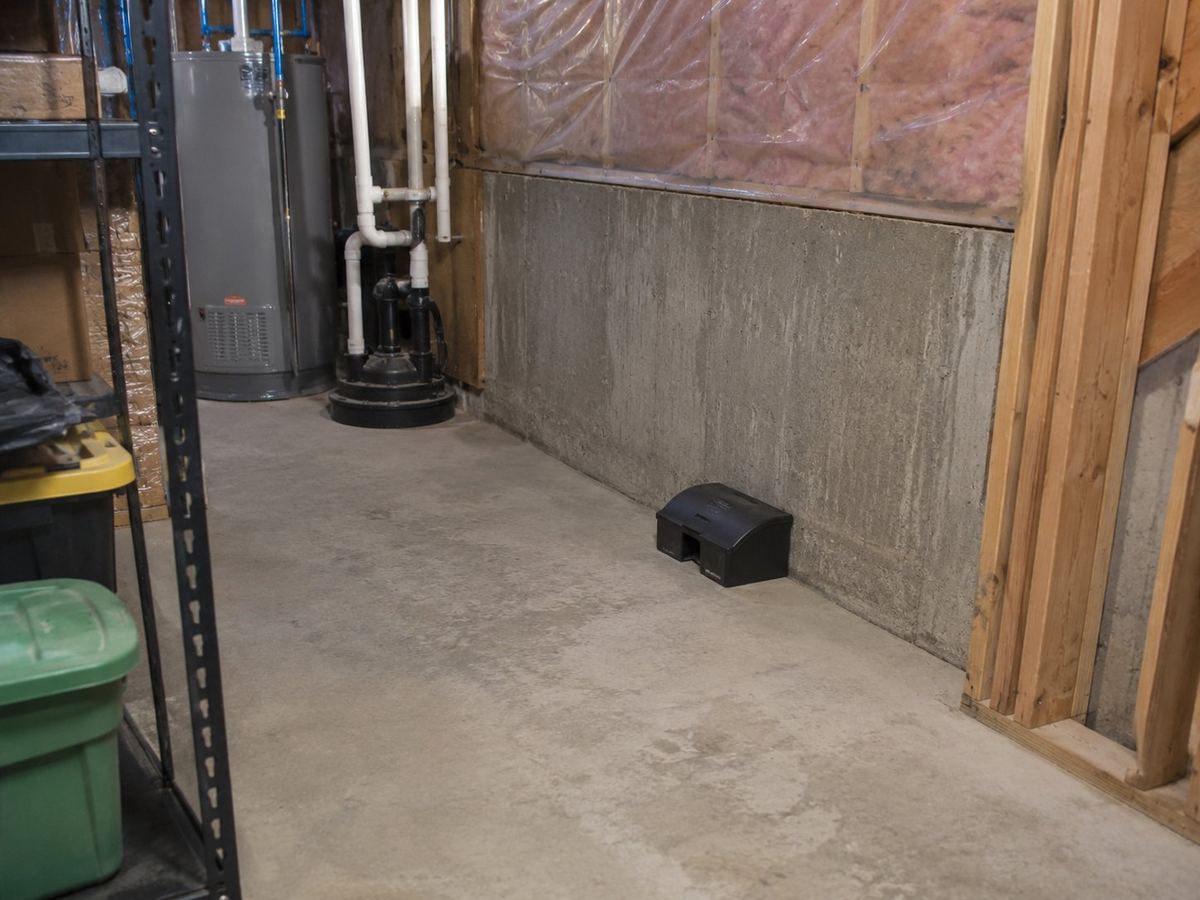 Local pest control professional Central PA